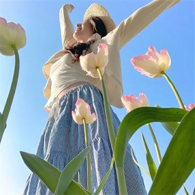 玛雅蜜蜂历险记